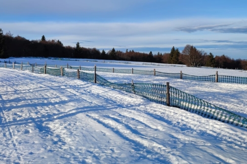 La Nordique des Crêtes 2026 au Breitfirst