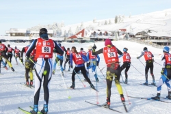 NDC 3 février 2019