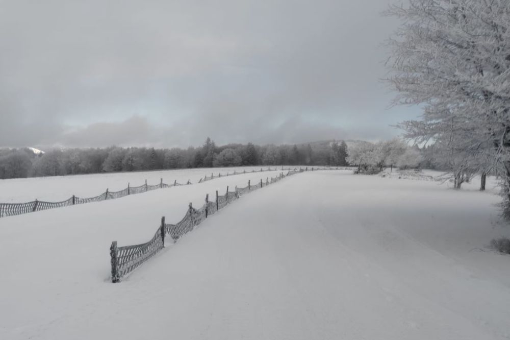 Le Breitfirst paradis de l'or blanc - vendredi 10/01